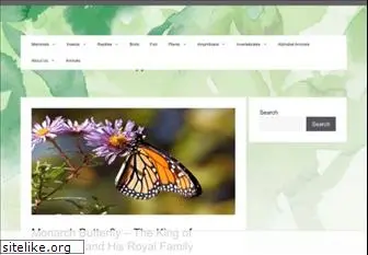 monarch-butterfly.com