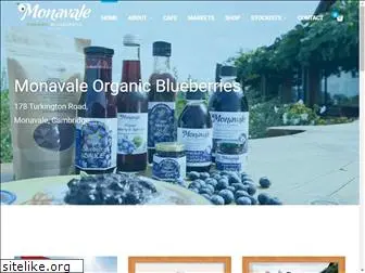 monavaleblueberries.co.nz