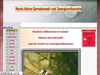 monis-kleine-garnelenwelt.de