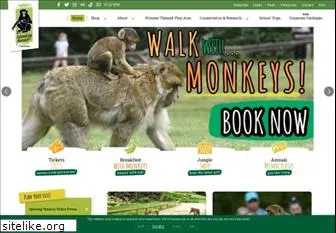 monkey-forest.com