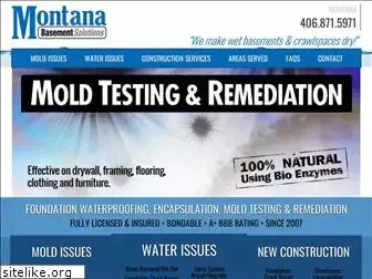 montanabasementsolutions.com