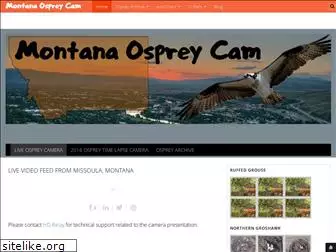 montanaospreycam.com