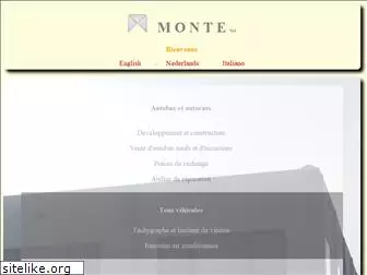 monte.it