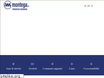 montegauno.com