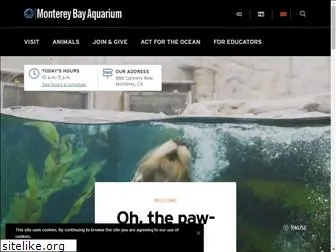 montereybayaquarium.org