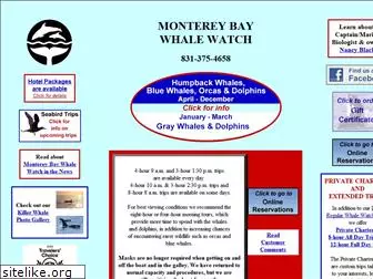 montereybaywhalewatch.com