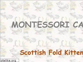 montessoricats.com