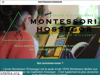 montessorihossegor.com