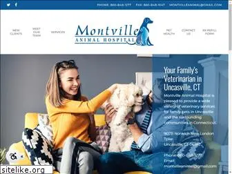 montvillevet.com