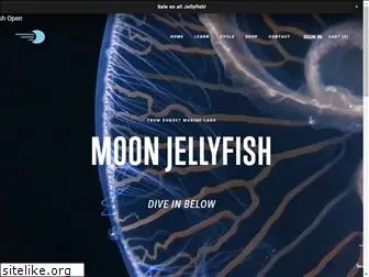 moonjellyfish.com