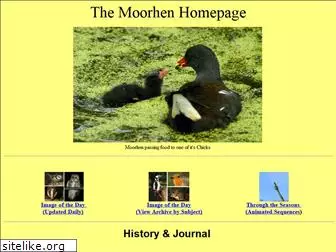 moorhen.me.uk