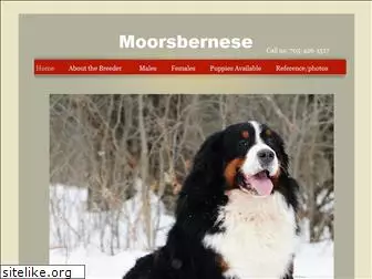 moorsbernese.com