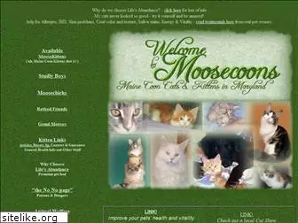 moosecoonsmc.com