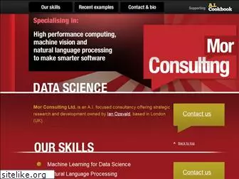 morconsulting.com