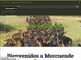 morcuendegarro.com