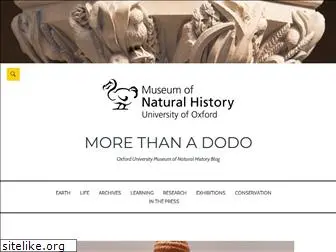 morethanadodo.com