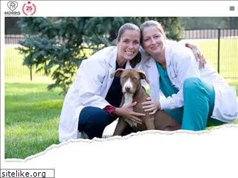 morrisanimalhospital.com