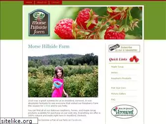 morsehillsidefarm.com