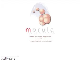 morula.com.mx
