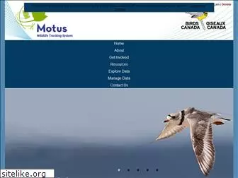 motus.org