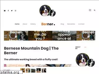 mountainbernese.com