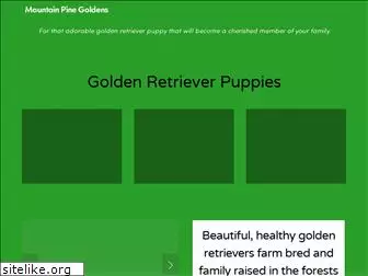 mountainpinegoldens.com