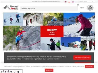 mountainproguiding.com