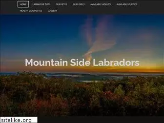 mountainsidelabradors.com