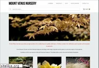 mountvenusnursery.com