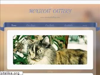 moxiecatcattery.com