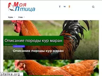 moyaptitsa.com