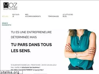 moz-lalittleajans.com