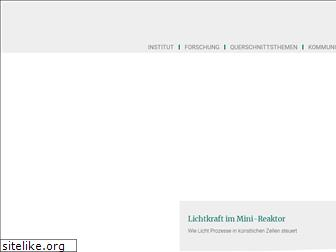 mpip-mainz.mpg.de