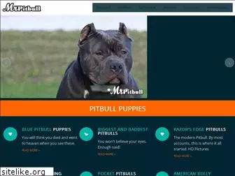 mrpitbull.com