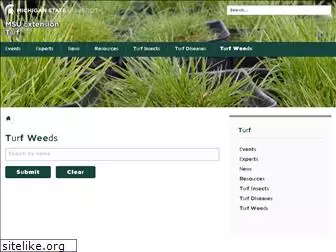 msuturfweeds.net