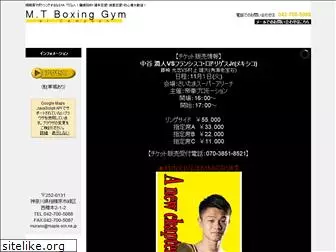 mtboxinggym.com