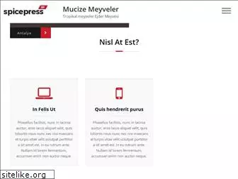 mucizemeyveler.com