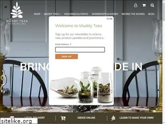 muddytoesterrariums.com