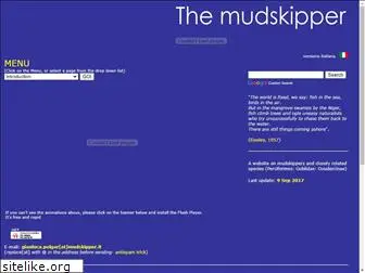 mudskipper.it