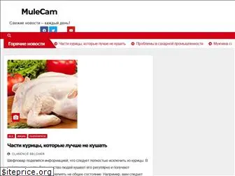 mulecam.com