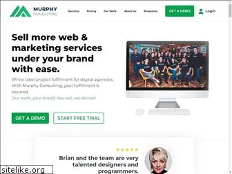 murphyconsulting.us