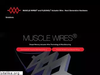 musclewires.com