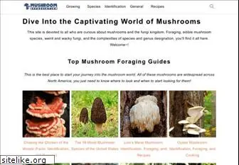 mushroom-appreciation.com