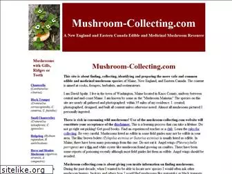 mushroom-collecting.com