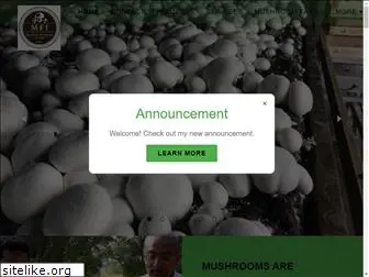 mushroomfi.com