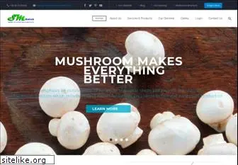 mushroommachines.com