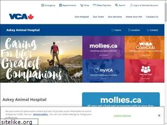 myanimalhospital.ca