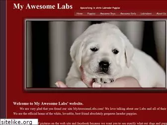 myawesomelabs.com