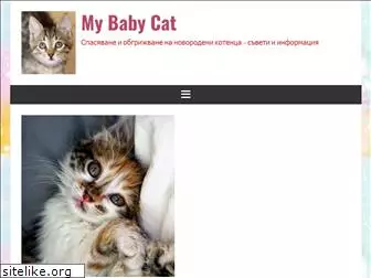 mybabycat.org