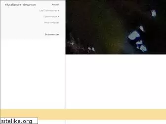myceliandre.fr